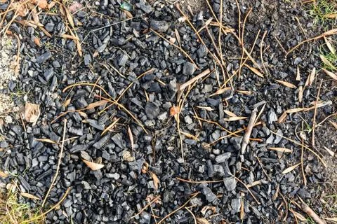 Ashes and ember Foto stock