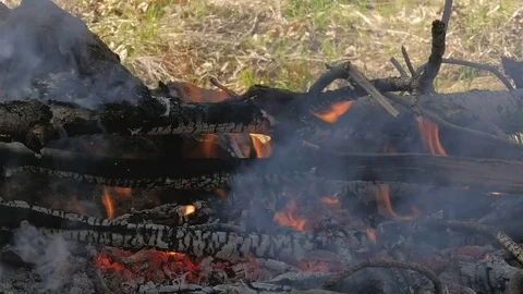 Ashes And Flame On Burning Branches On Fire. Slow motion Stock Footage 78420275