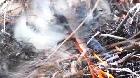 Ashes and flame on burning grass and branches on fire Stock Footage 54912536