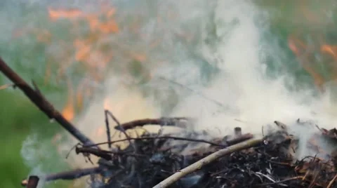 Ashes and flame on burning grass and branches on fire Stock Footage 54912804