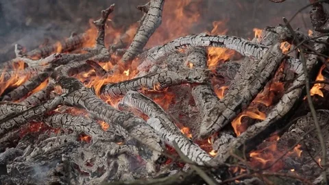 Ashes and flame on burning log in a fire Stock Footage 73324866
