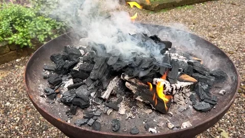 Ashes burn with smoke Stock-Footage 231483831