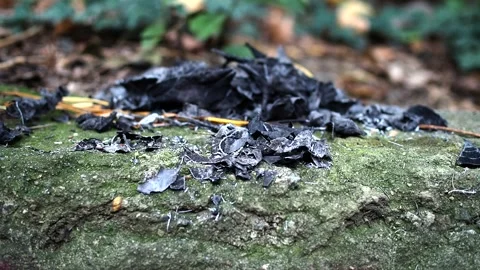 Ashes from burned leaves are blown by the wind off the stone in slow motion Stock Footage 248530605