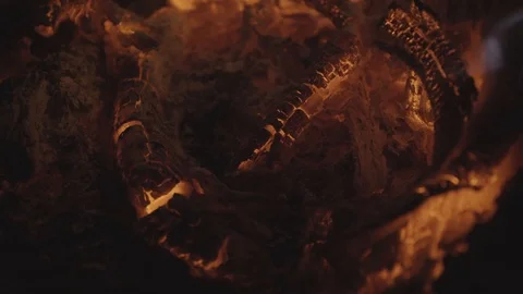 Ashes burning in a forest during the night Stock Footage 122845336