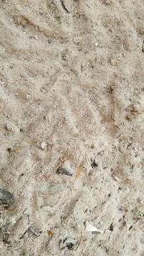 Ashes from burnt ovens Stock Photos