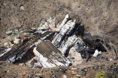 Ashes from a campfire in nature. Stock Photos