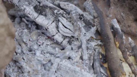 Ashes from a campfire, wind moving pieces of ashes Stock Footage 310407930
