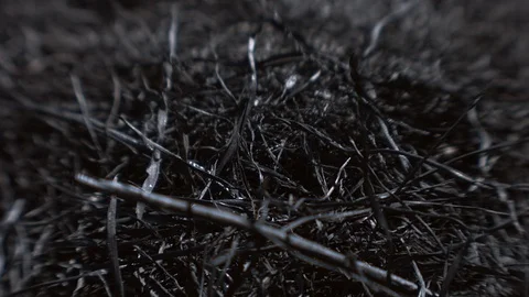 Ashes. The consequences of a fire. Stock Footage 122213896