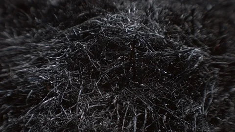 Ashes. The consequences of a fire. Stock Footage 122214874