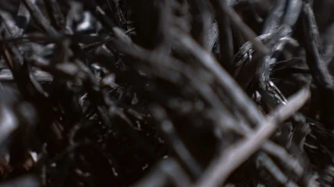 Ashes. The consequences of a fire. Stock Footage 122220638