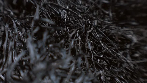 Ashes. The consequences of a fire. Stock Footage 122224093