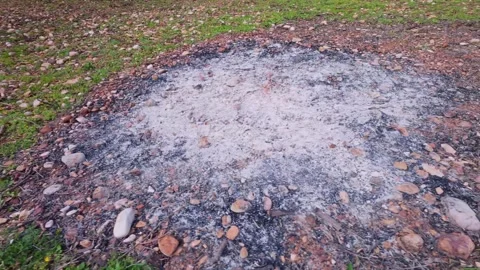 Ashes from Controlled Fire on Agricultural Field with Stones Stock Footage 303489603