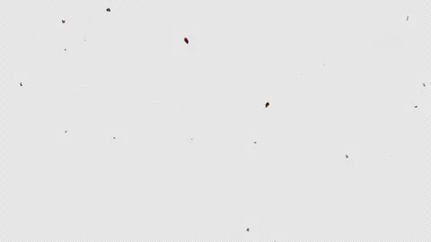 Ashes Drifting Falling Floating Through Air Element Alpha Channel Stock Footage 286138313