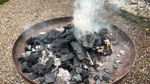 Ashes on the fire in the garden Stock Footage 231628989