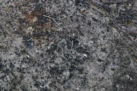 Ashes from fire under the fireplace Stock Photos