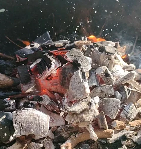 Ashes in flames Stock Footage 242452880
