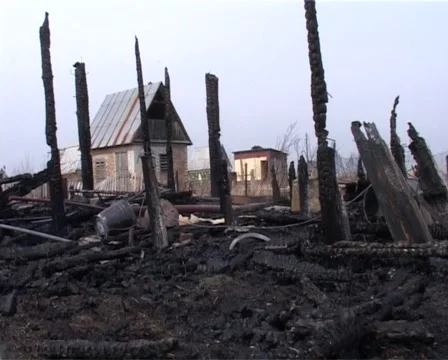 The Ashes 動画素材 1039255