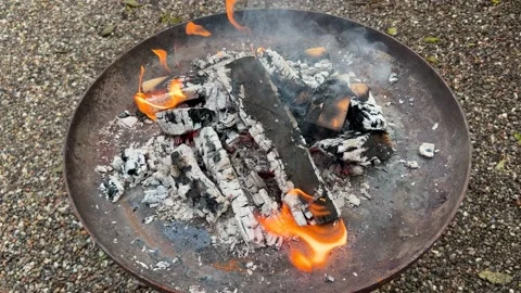 Ashes for grilling over the fire Video stock 230629736