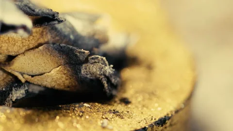 Ashes of incense macro detail close up Stock Footage 145886455