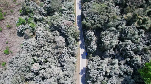 Ashes of Lewotobi 库存影片 311746156