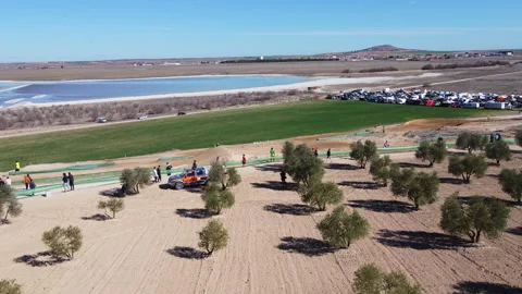 On the ashes planted with Spanish olives in the background you can see a wind fa Stock-Footage 240412890