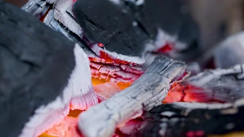 Ashes remain of burning woods. Stock Footage 135734142