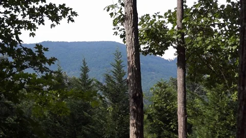 Asheville Mountain View Stock Footage 95540734