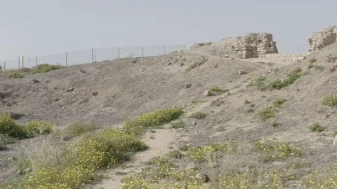 Ashkelon beach Stock Footage 143468402