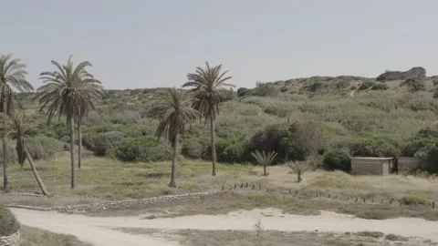 Ashkelon beach Stock Footage 143468958