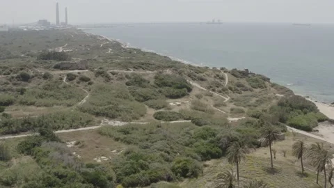 Ashkelon beach Stock Footage 143469087