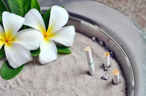 Ashtray Stock Photos