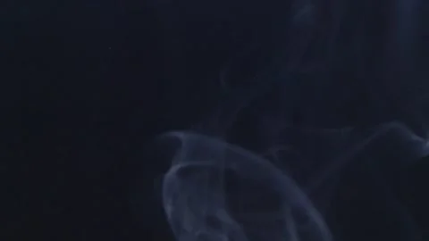 Ashtrays and cigarettes2 Stock Footage 259262134