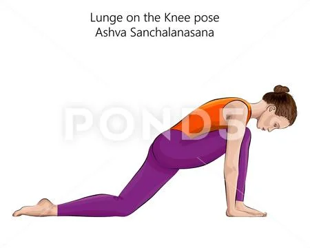 Ashwa Sanchalanasana: Practice this pose to increase hip flexibility  #sonusingh #yogaanywhere - YouTube