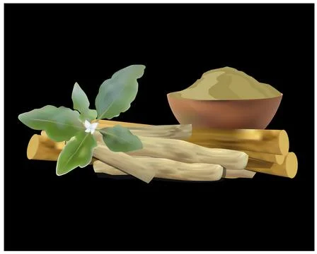 Ashwagandha Stock Illustration
