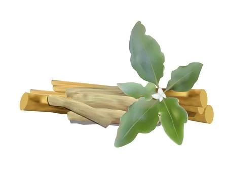 Ashwagandha Stock Illustration