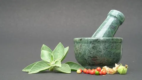 Ashwagandha OR Indian Ginseng is an Ayurveda medicine in stem and powder form. Stock Photos
