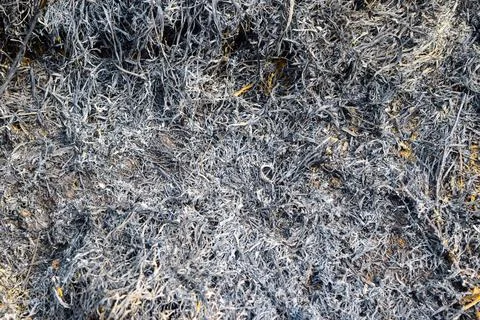 Ashy Ground Surface Background Stock Photos