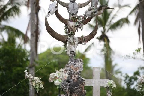 ASIA EAST TIMOR TIMOR LESTE RACA GRAVEYARD Stock Photos