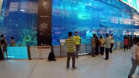 Asia Stock-Footage 87996247