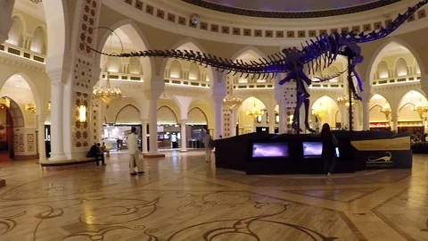 Asia Stock-Footage 87997120