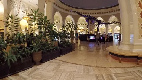 Asia Stock-Footage 87997233