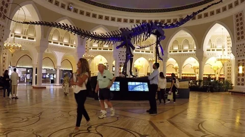 Asia Stock-Footage 87997524