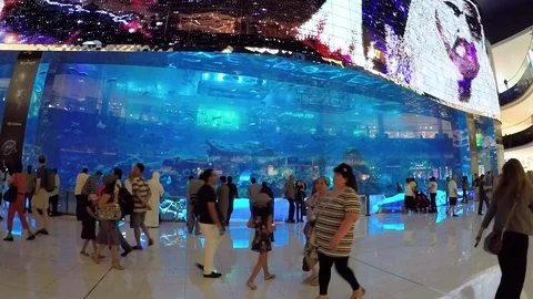 Asia Stock-Footage 87997561