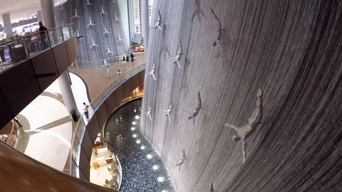 Asia 스톡 동영상 88002355