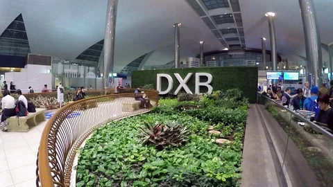 Asia 스톡 동영상 88002864