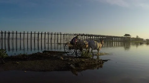 Asia 스톡 동영상 88005642