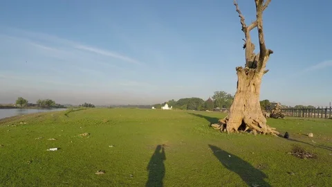 Asia Stock Footage 88005807