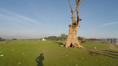 Asia Stock Footage 88006151