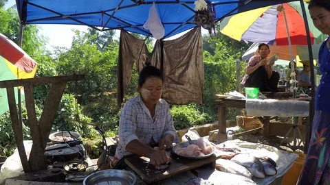 Asia Stock Footage 88007159