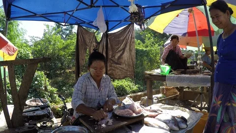 Asia Stock Footage 88007173